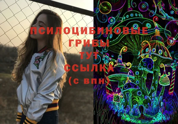 прущие грибы Алексеевка