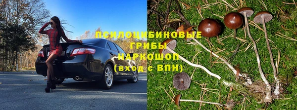 прущие грибы Алексеевка